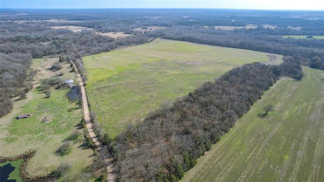 County Road 2376 Land Listing