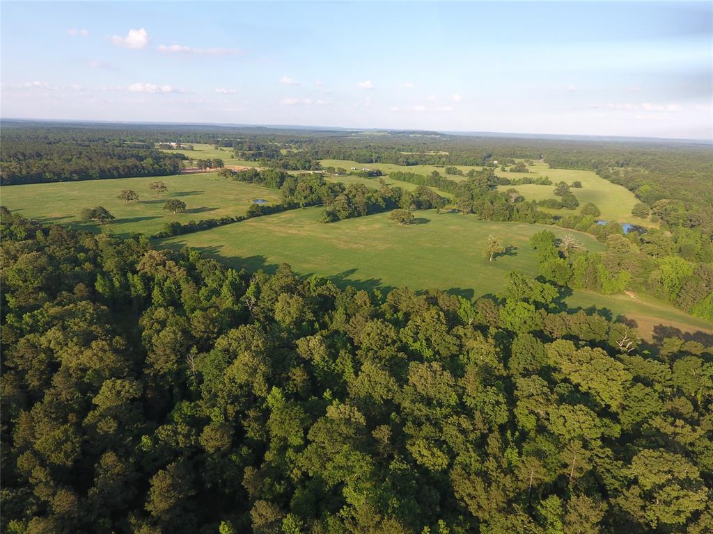 Fm-321 Home for Sale