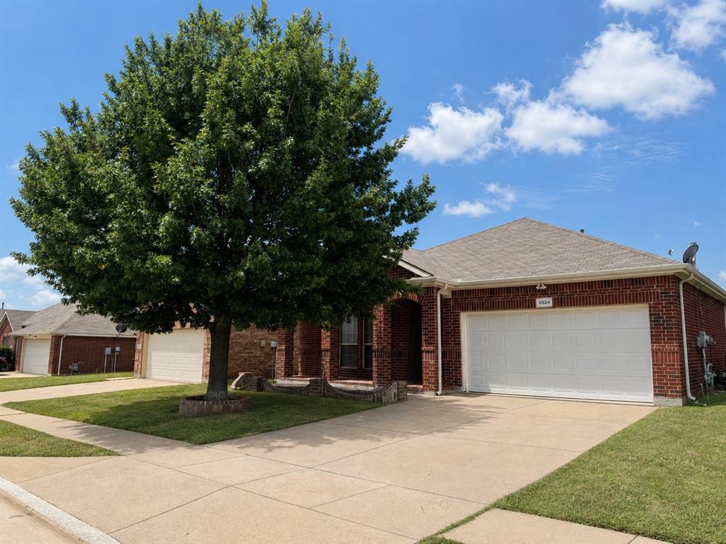 Willow Branch Home for Sale