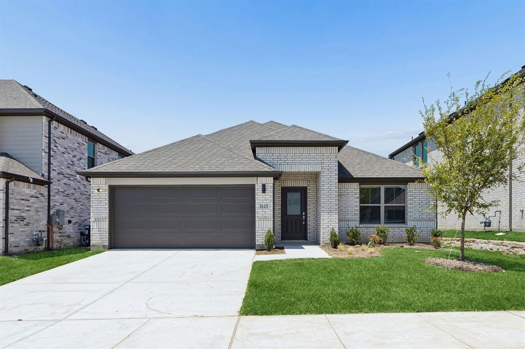 Companero Home for Sale