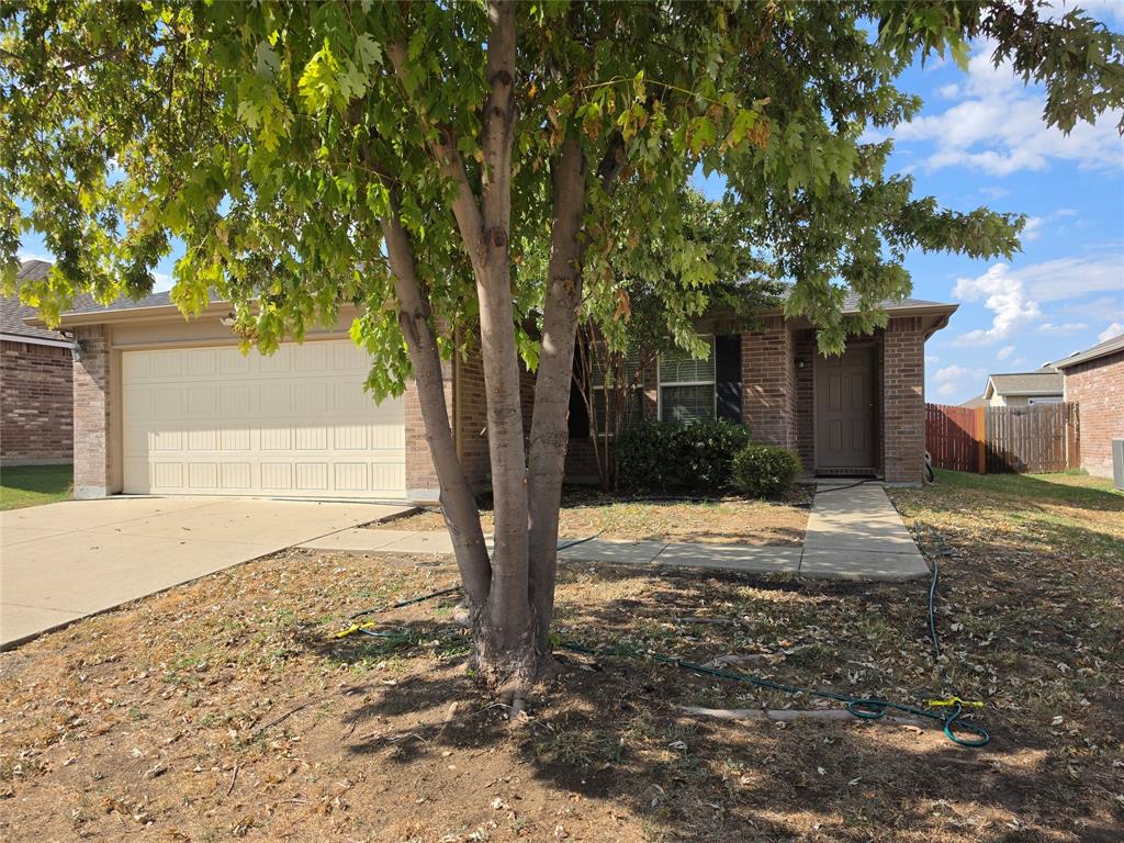 Fantail Home for Sale